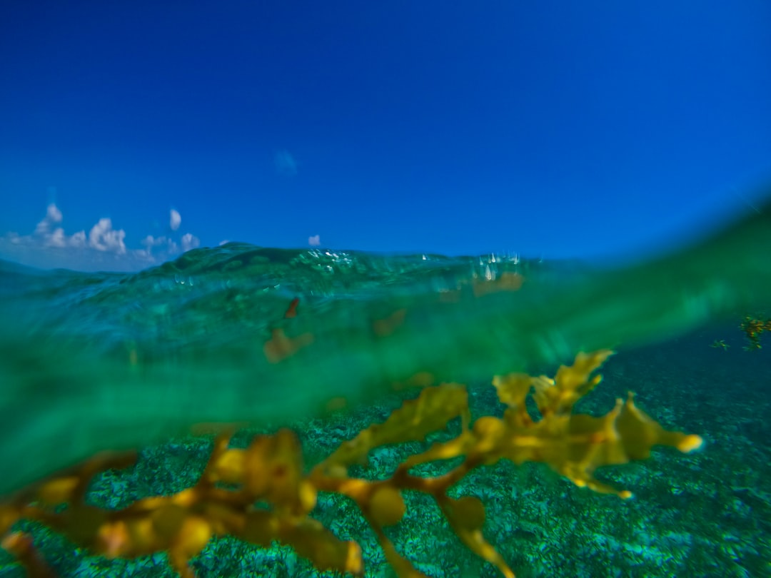 belize