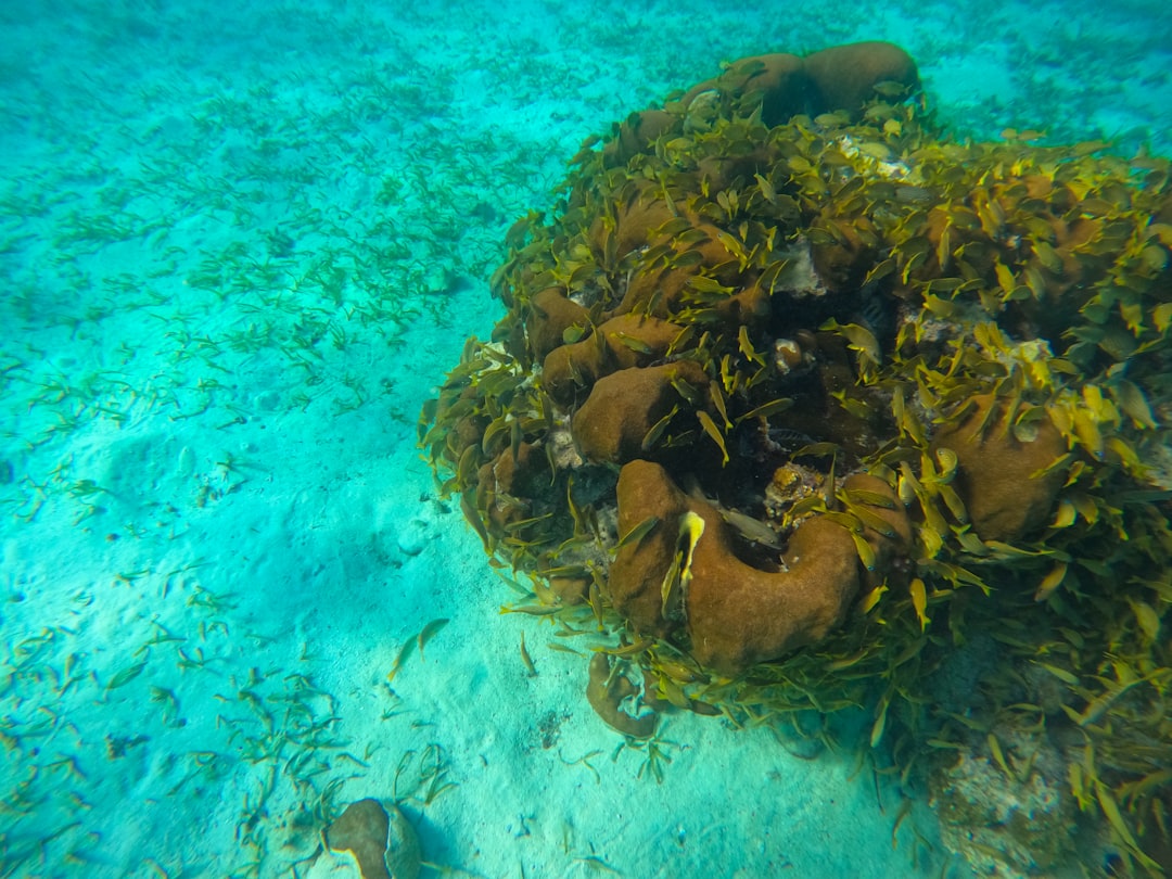 belize