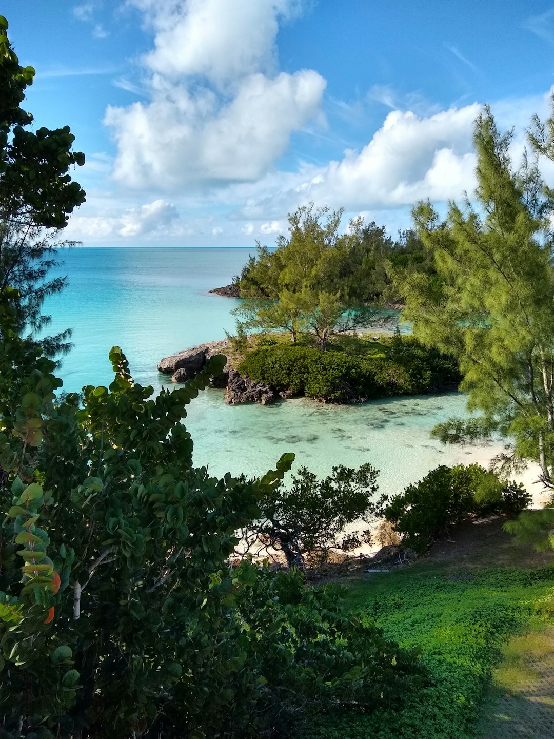 bermuda