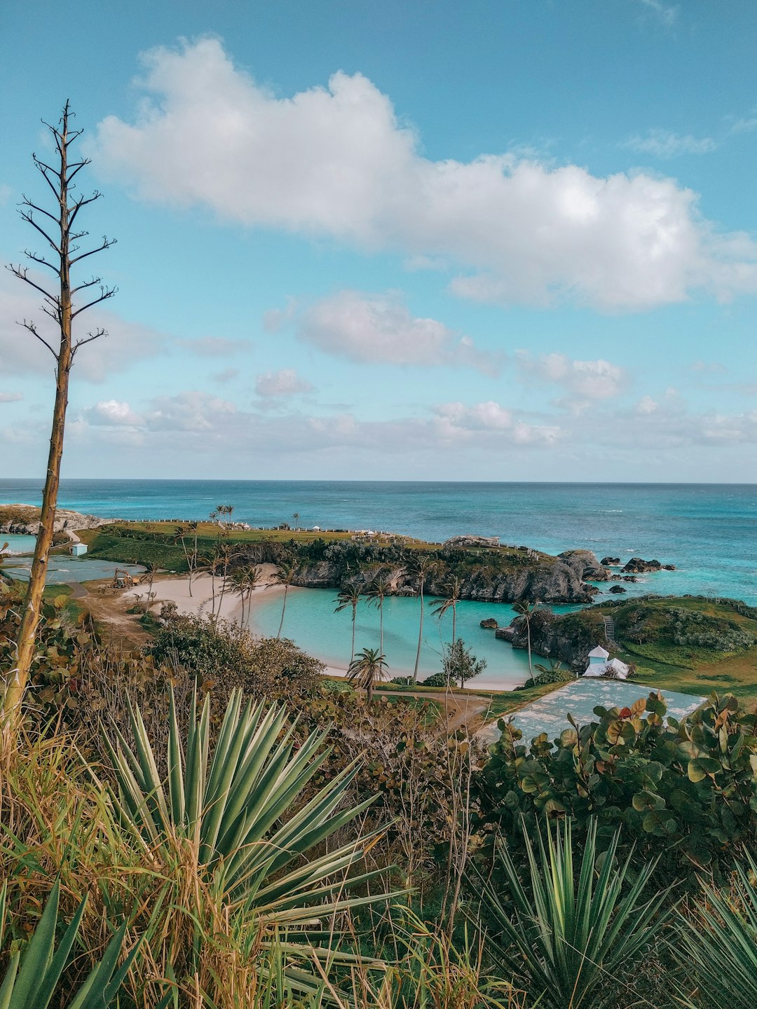 bermuda
