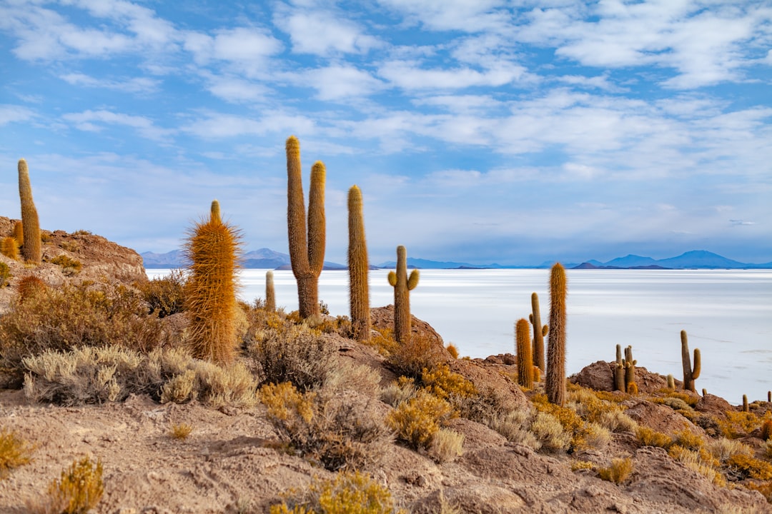 bolivia