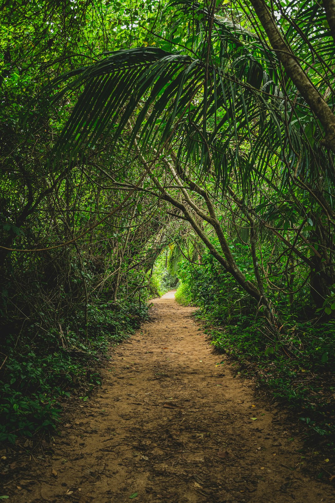 costa_rica