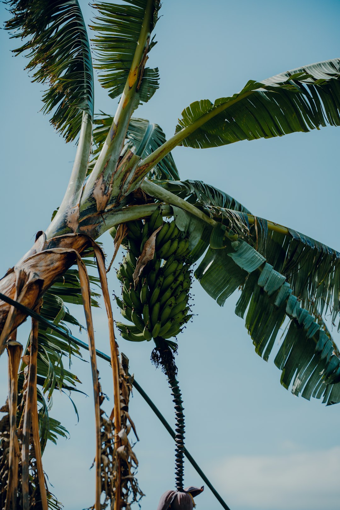 costa_rica