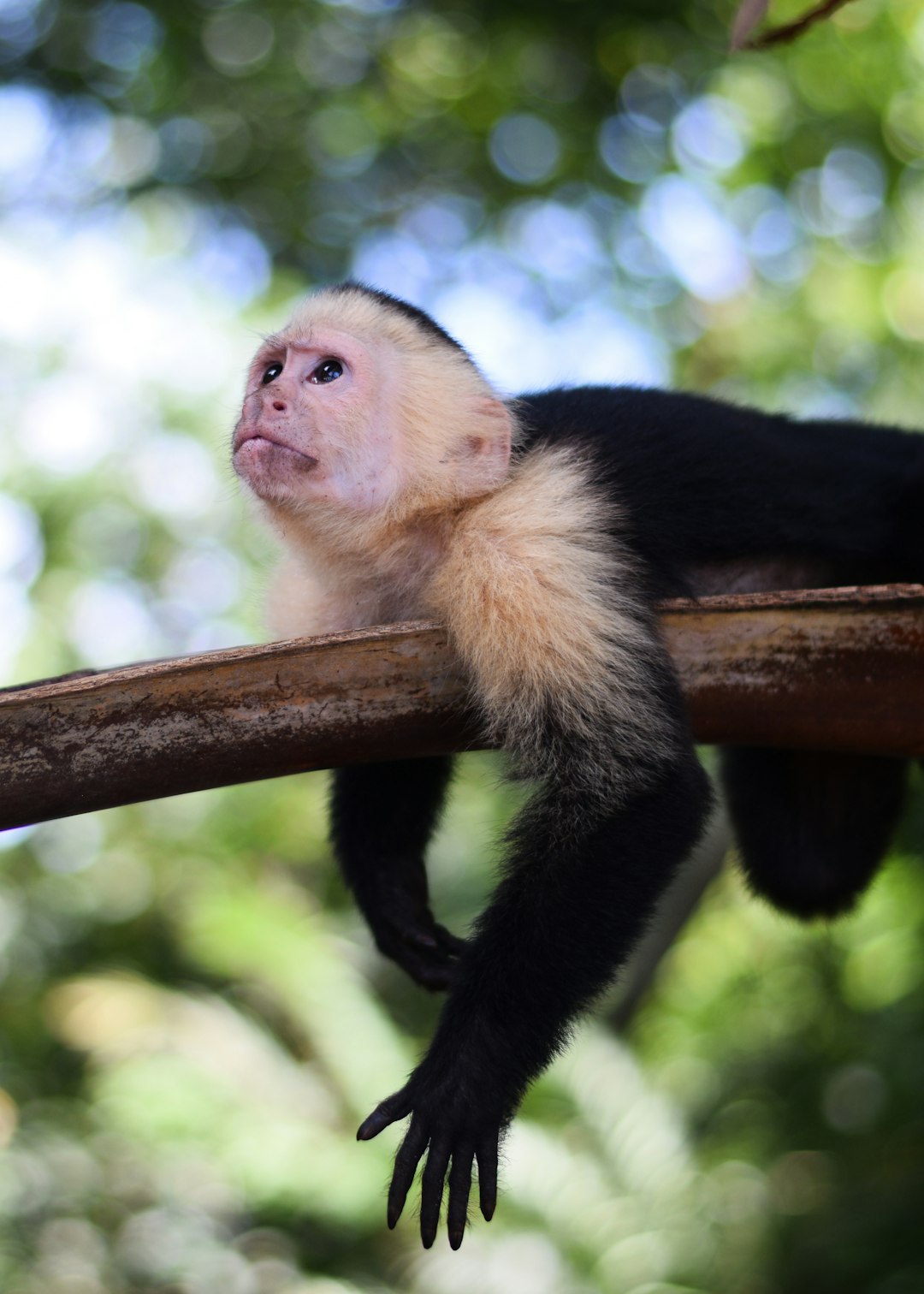 costa_rica