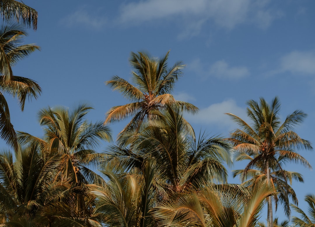 dominican_republic