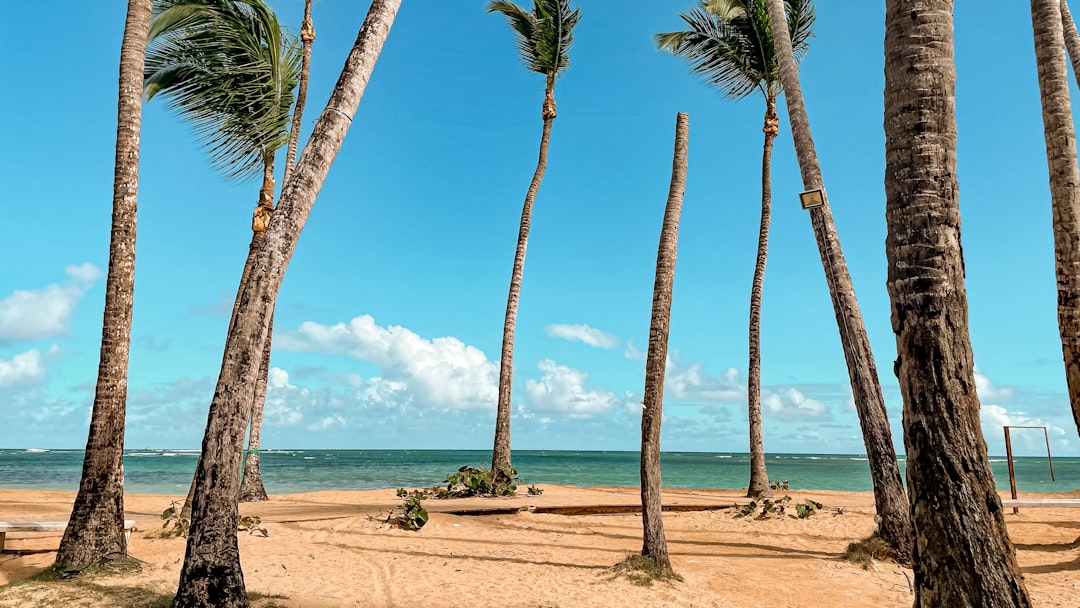 dominican_republic