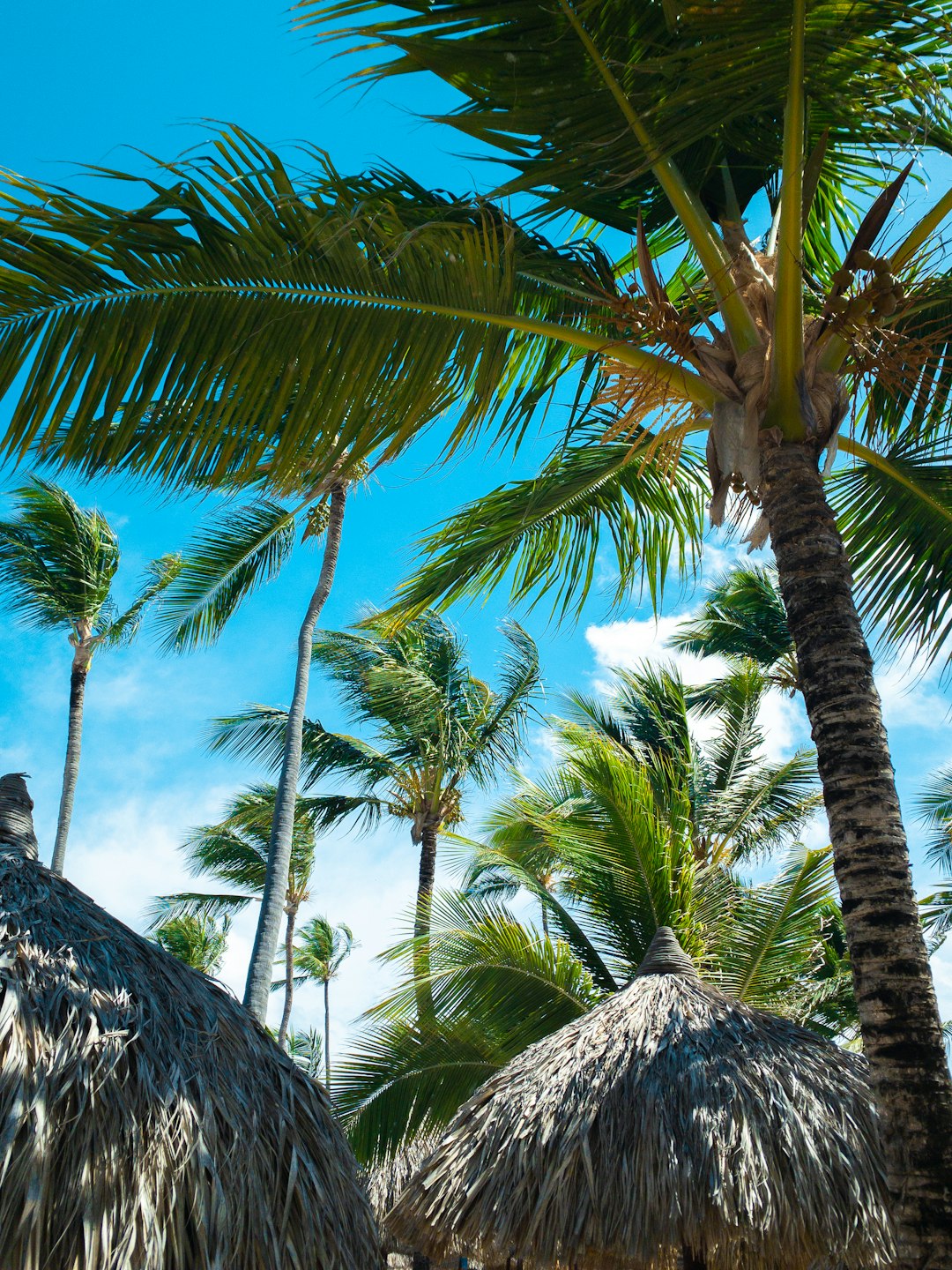 dominican_republic