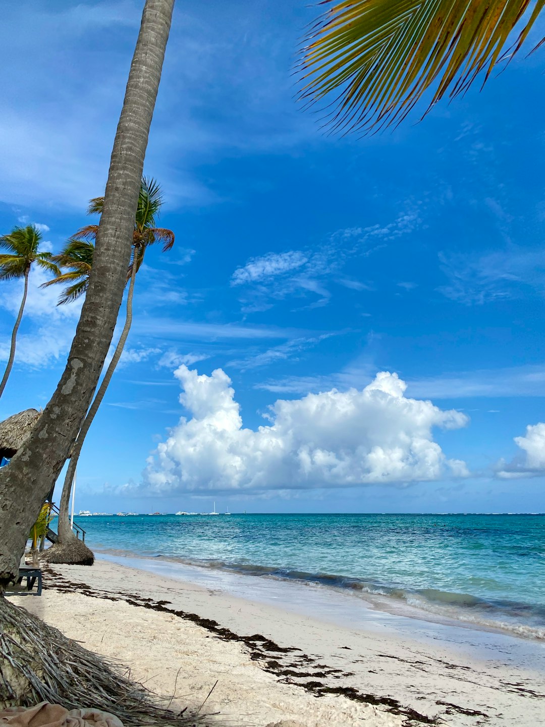 dominican_republic