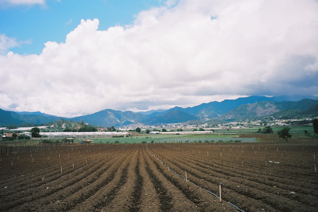 dominican_republic