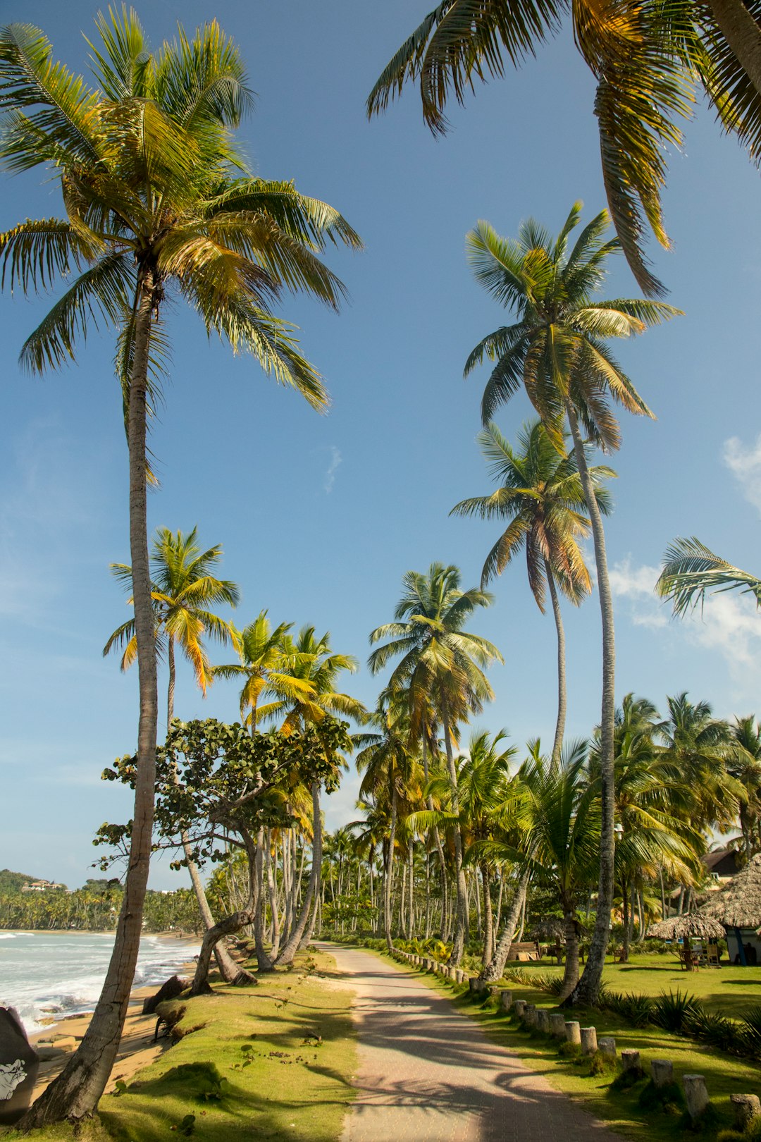 dominican_republic