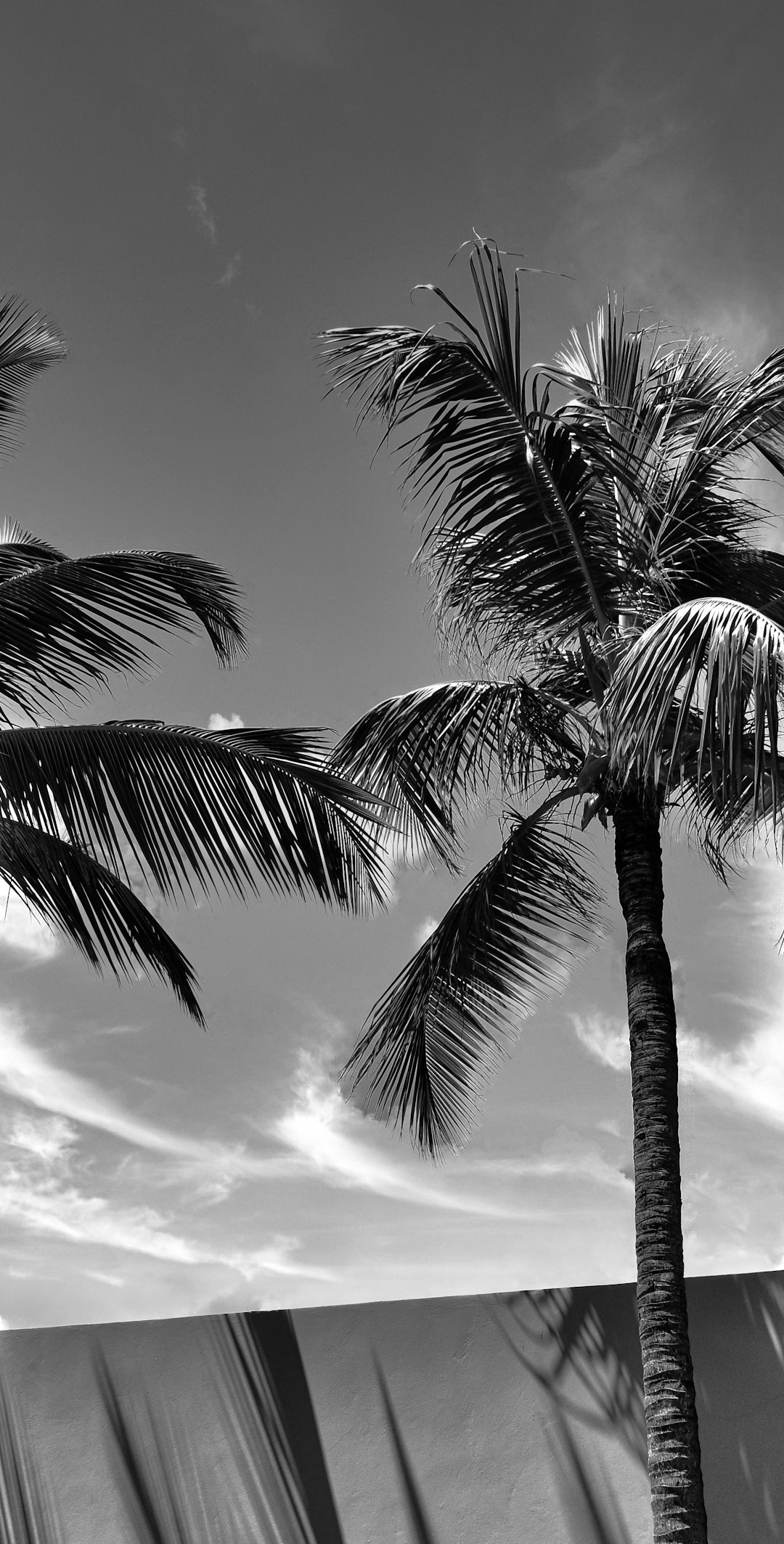 dominican_republic