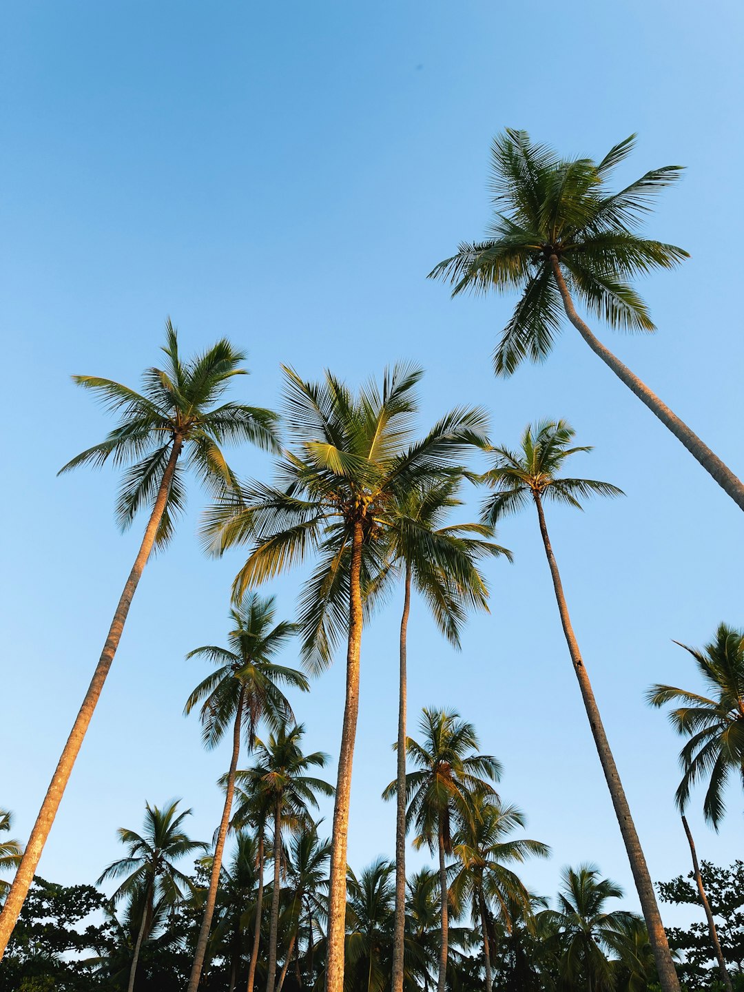dominican_republic