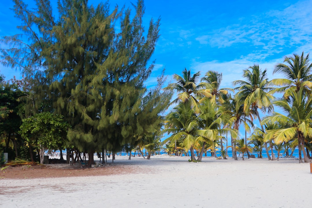 dominican_republic