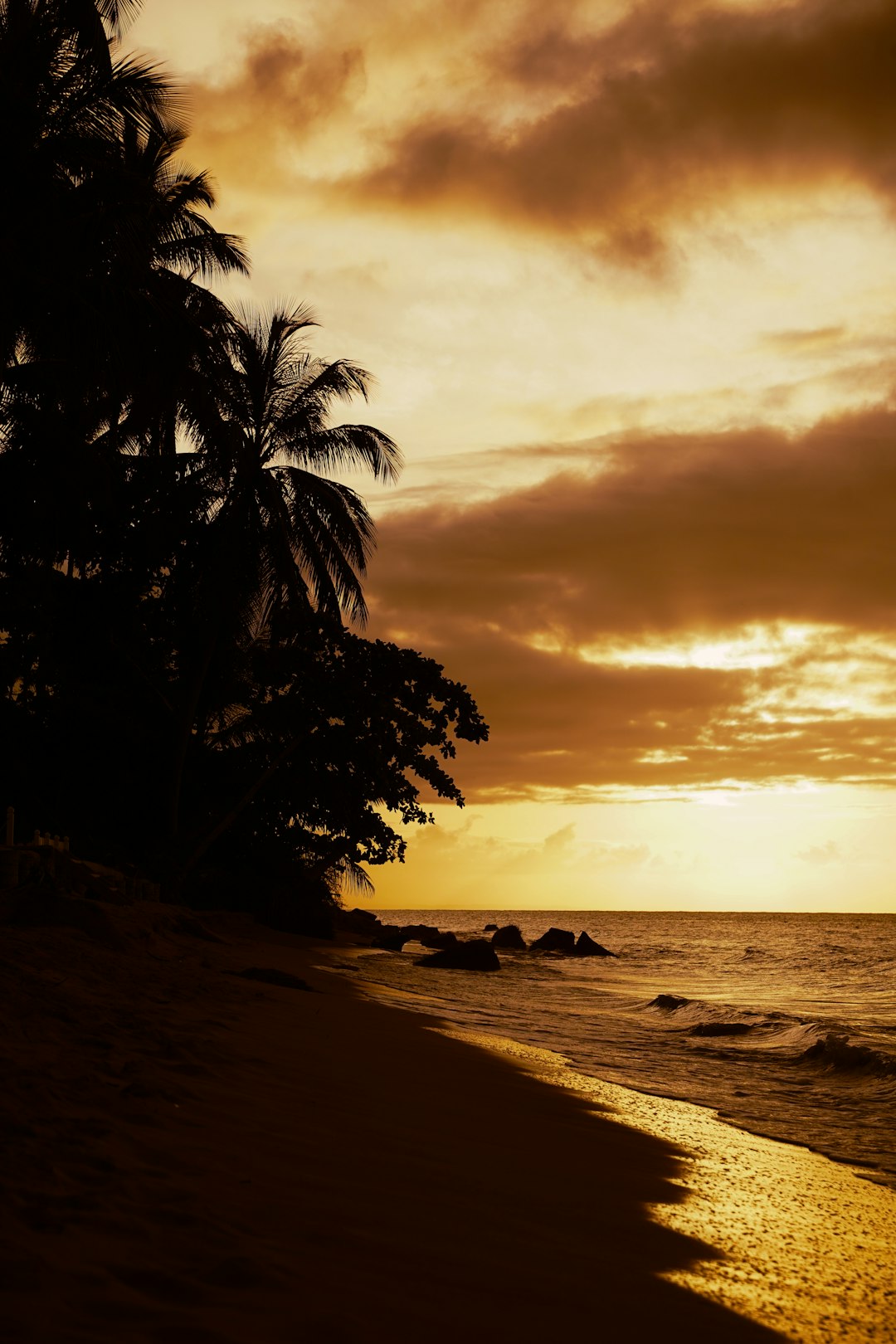 dominican_republic