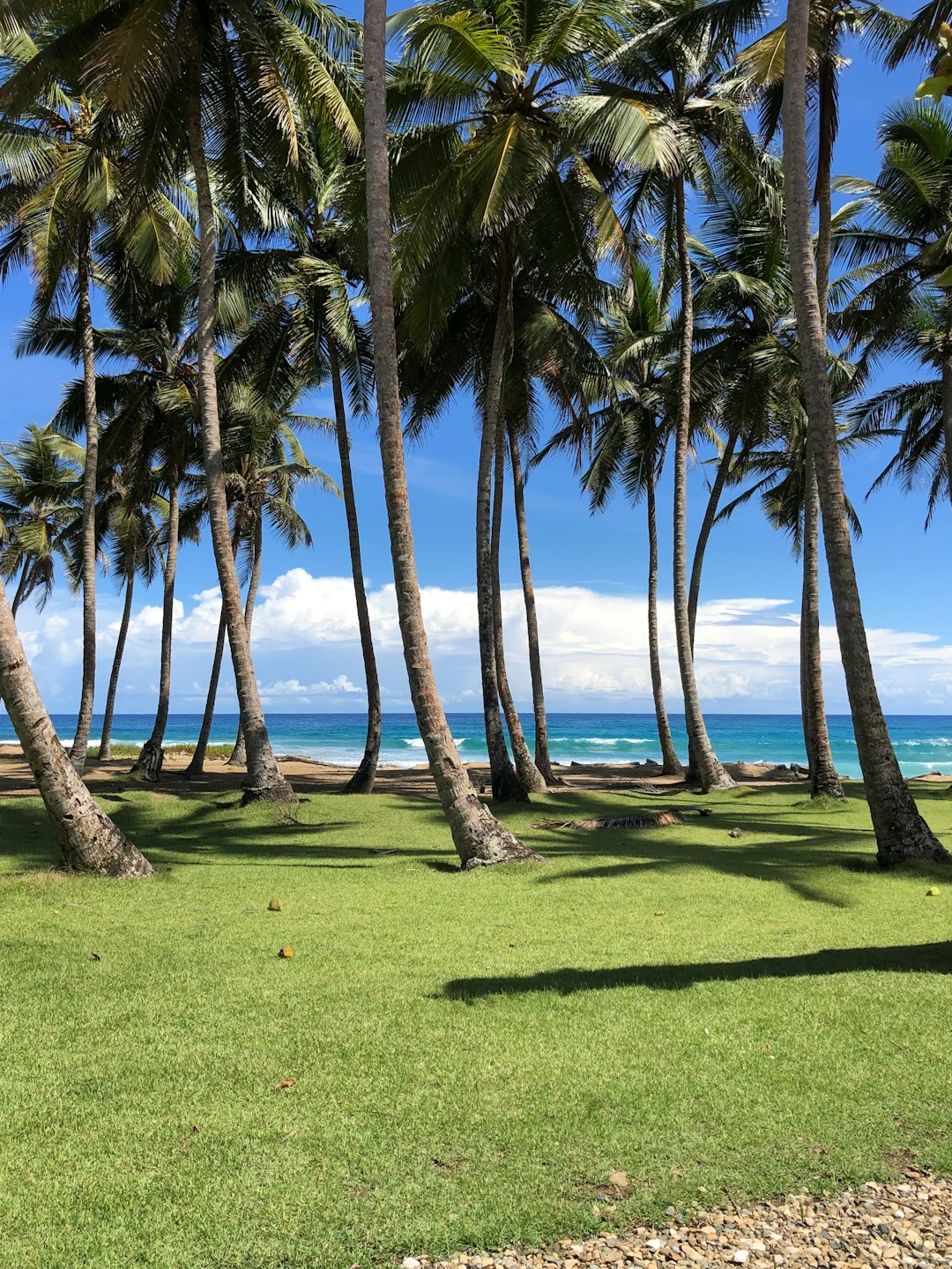 dominican_republic