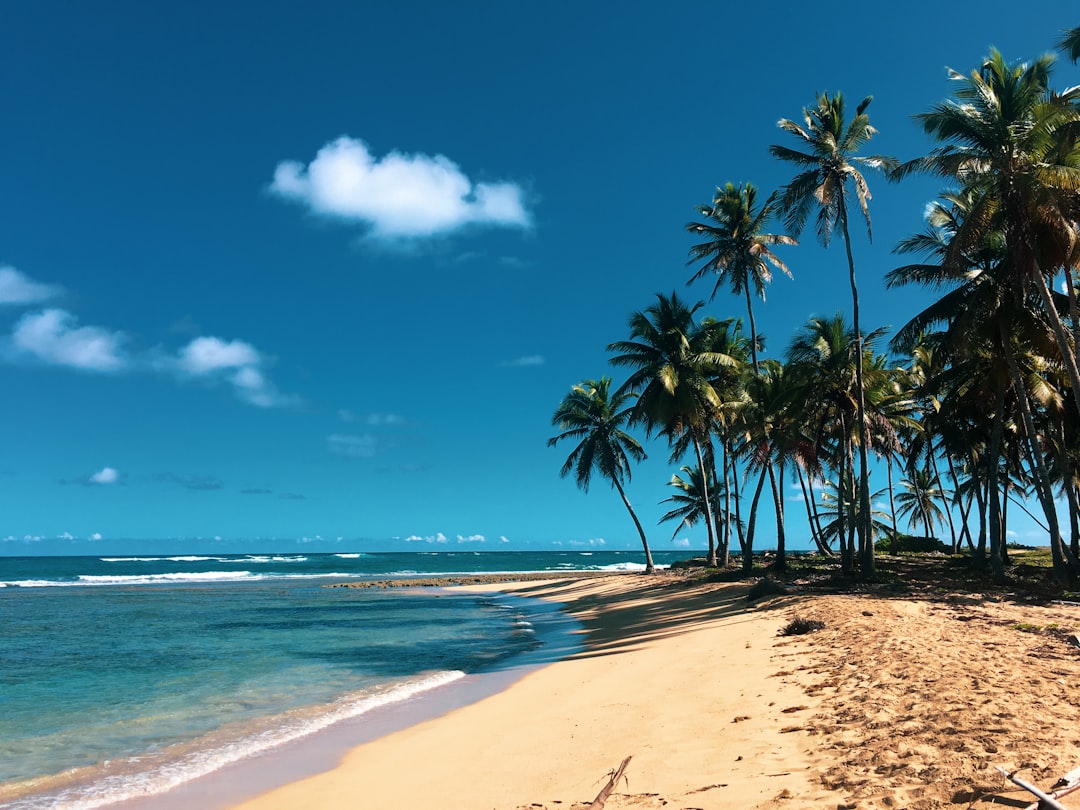 dominican_republic