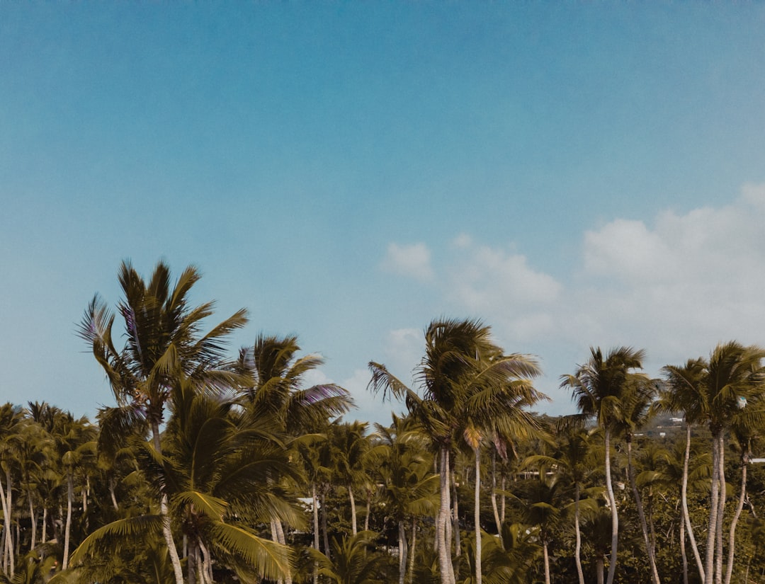 dominican_republic