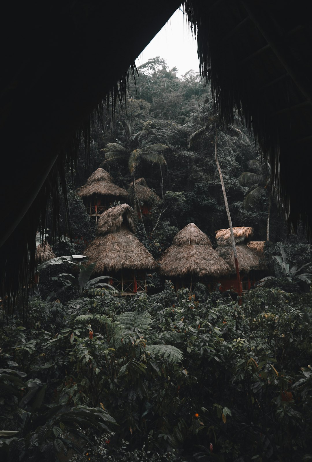 dominican_republic