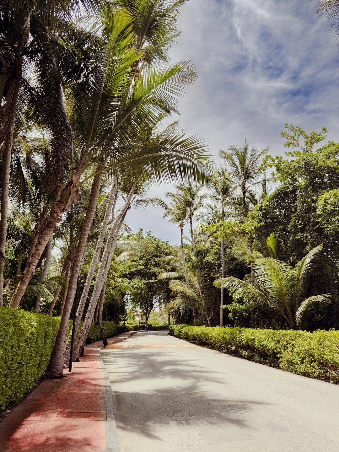 dominican_republic