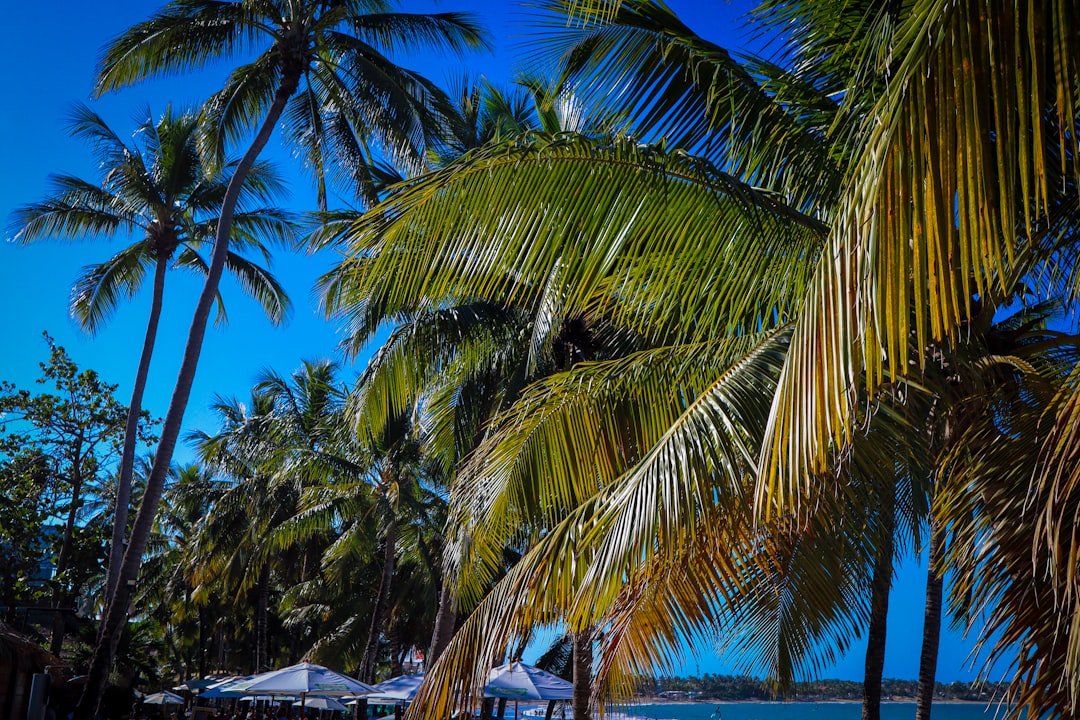 dominican_republic