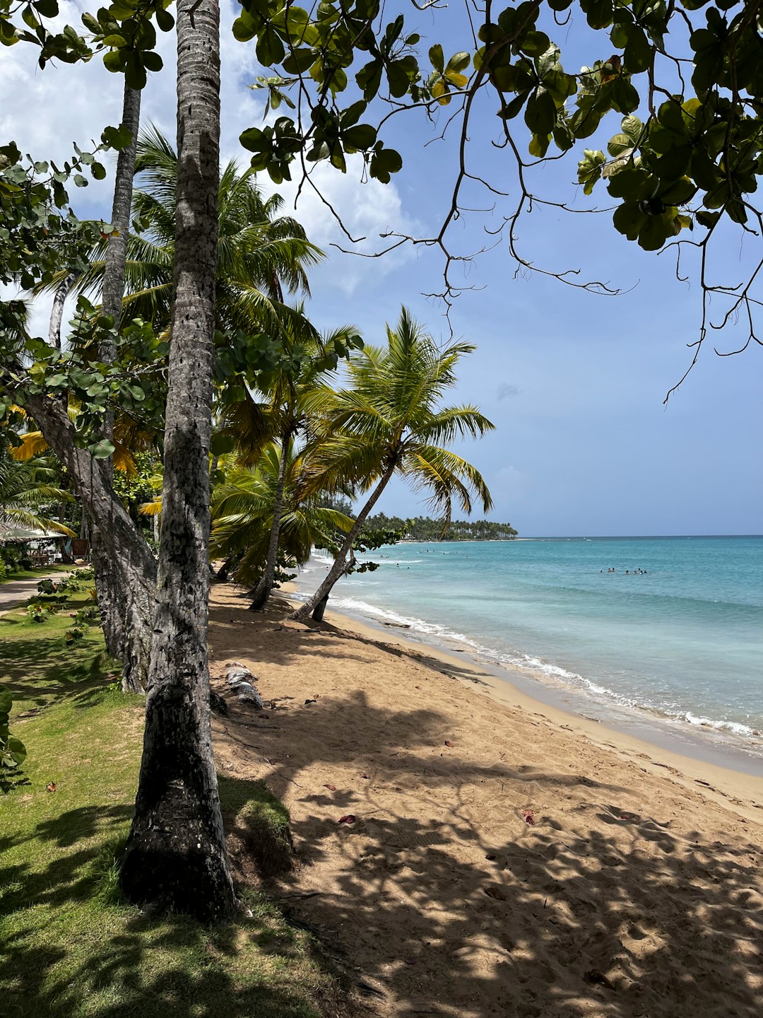 dominican_republic