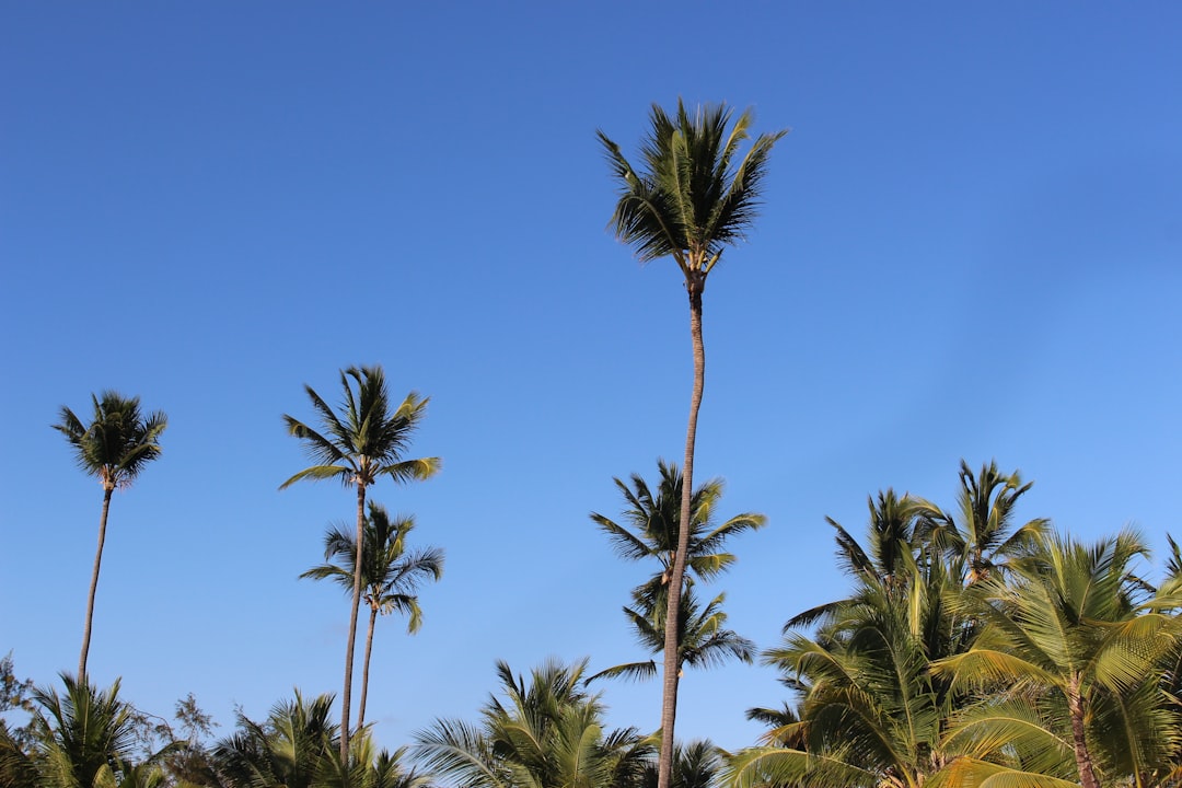 dominican_republic