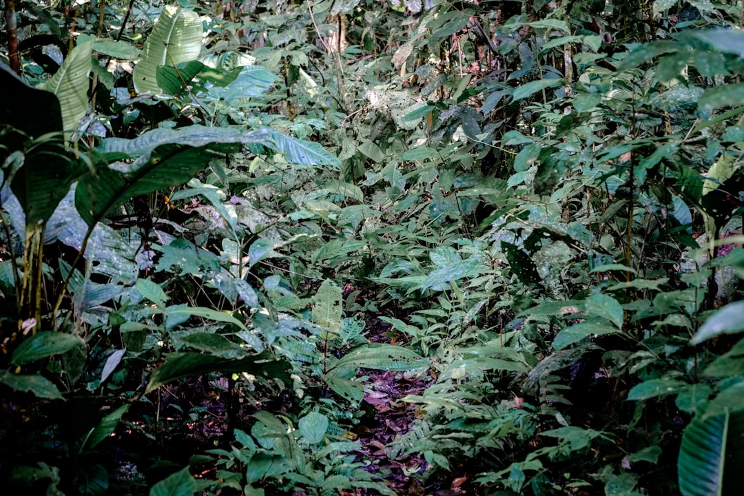 ecuador