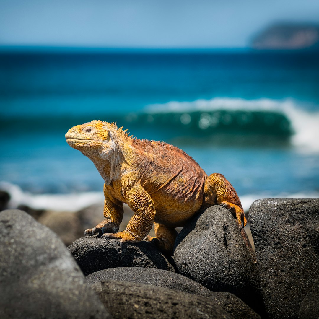 ecuador