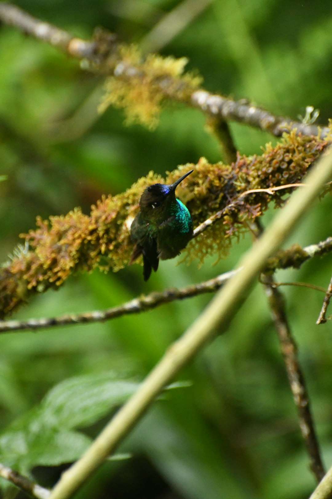 ecuador