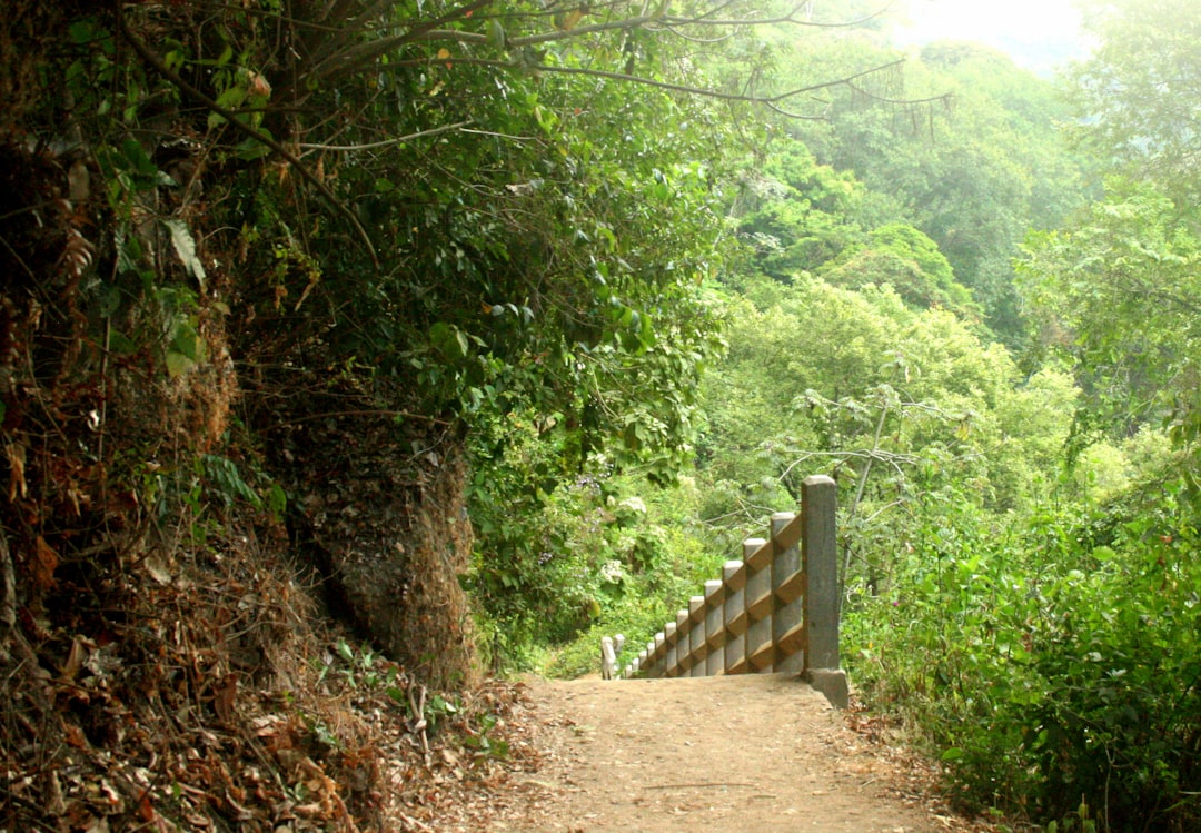 el_salvador
