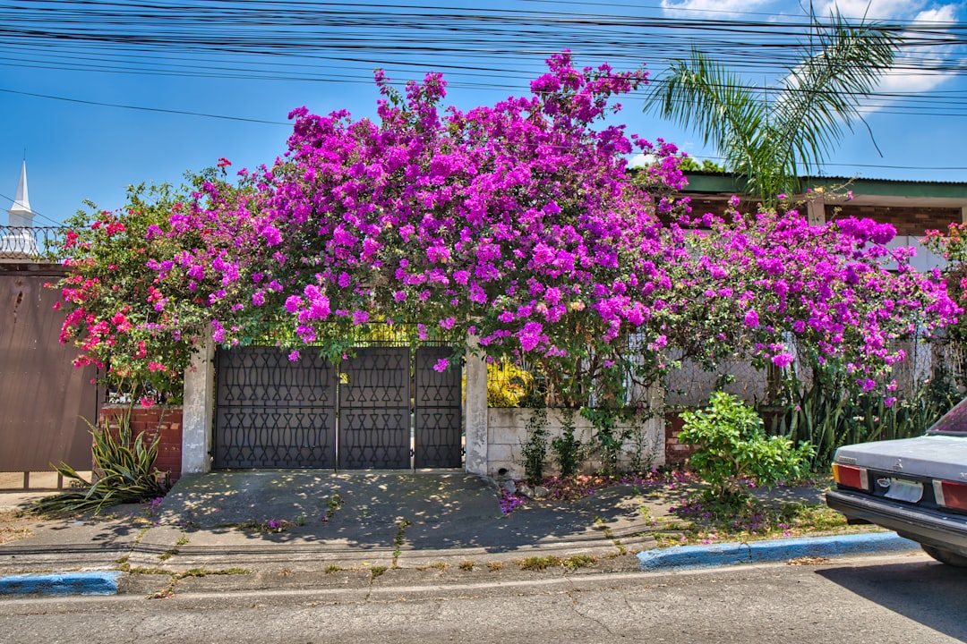 honduras