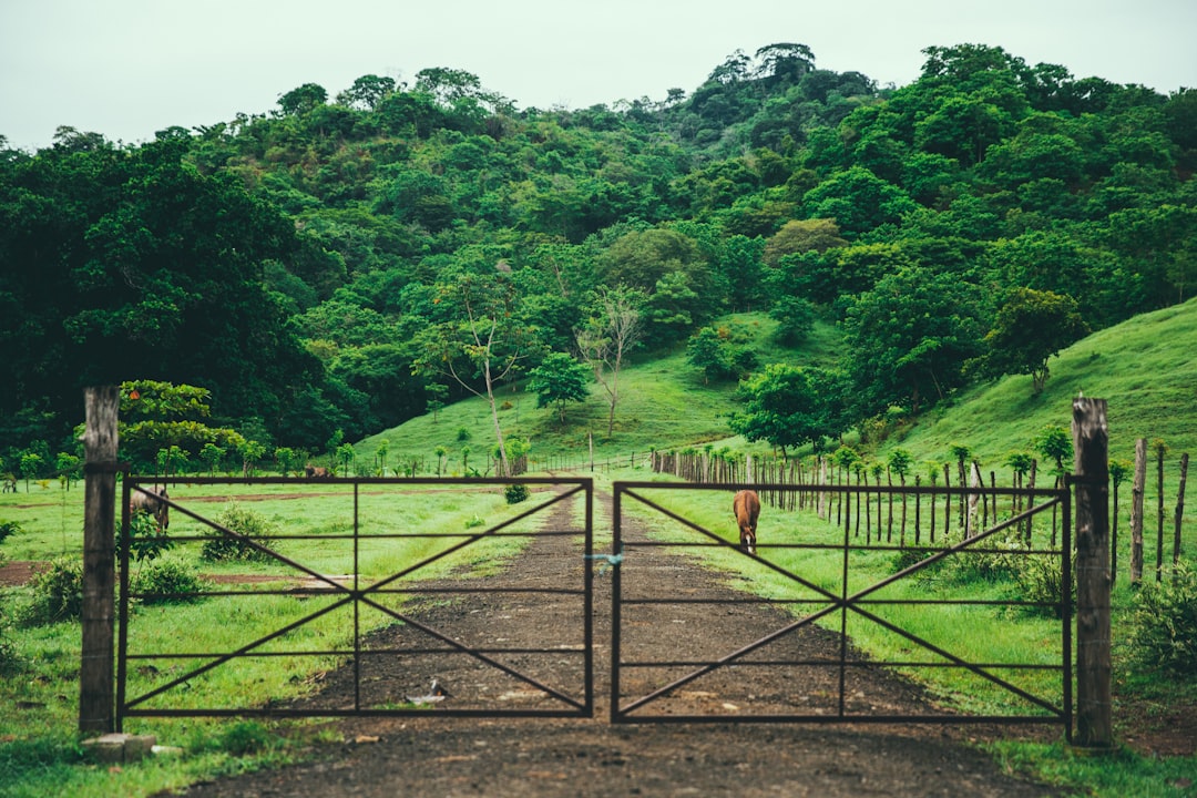 panama