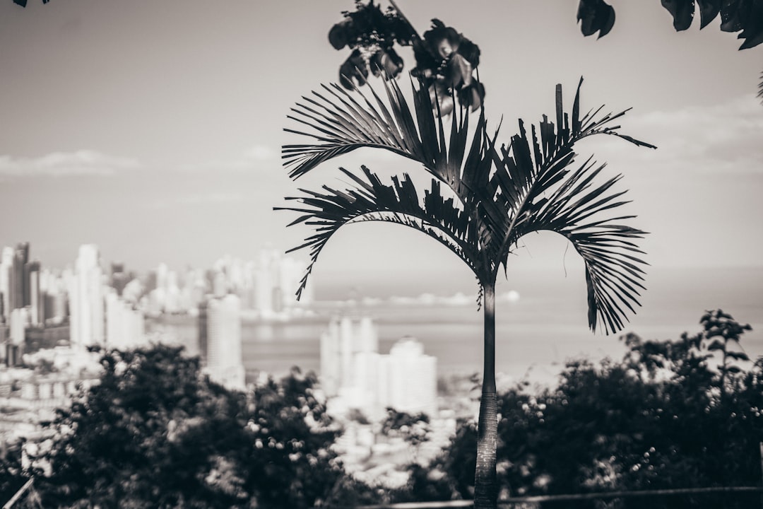 panama