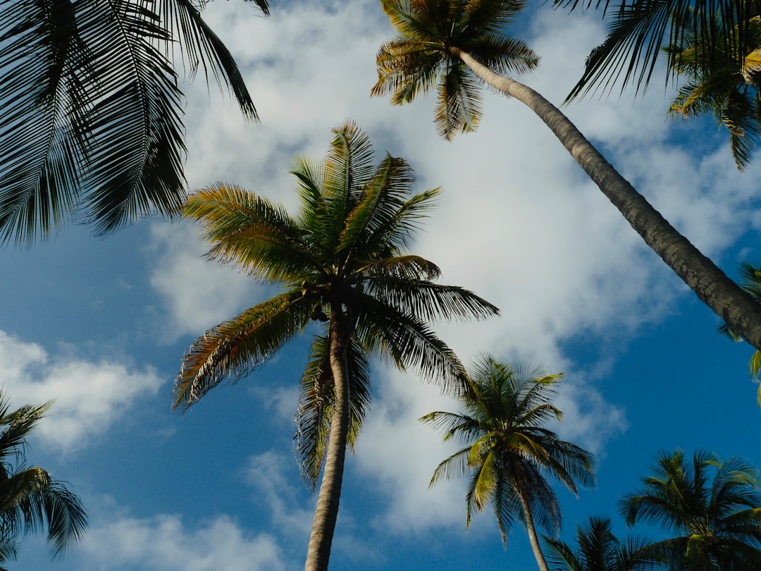 panama