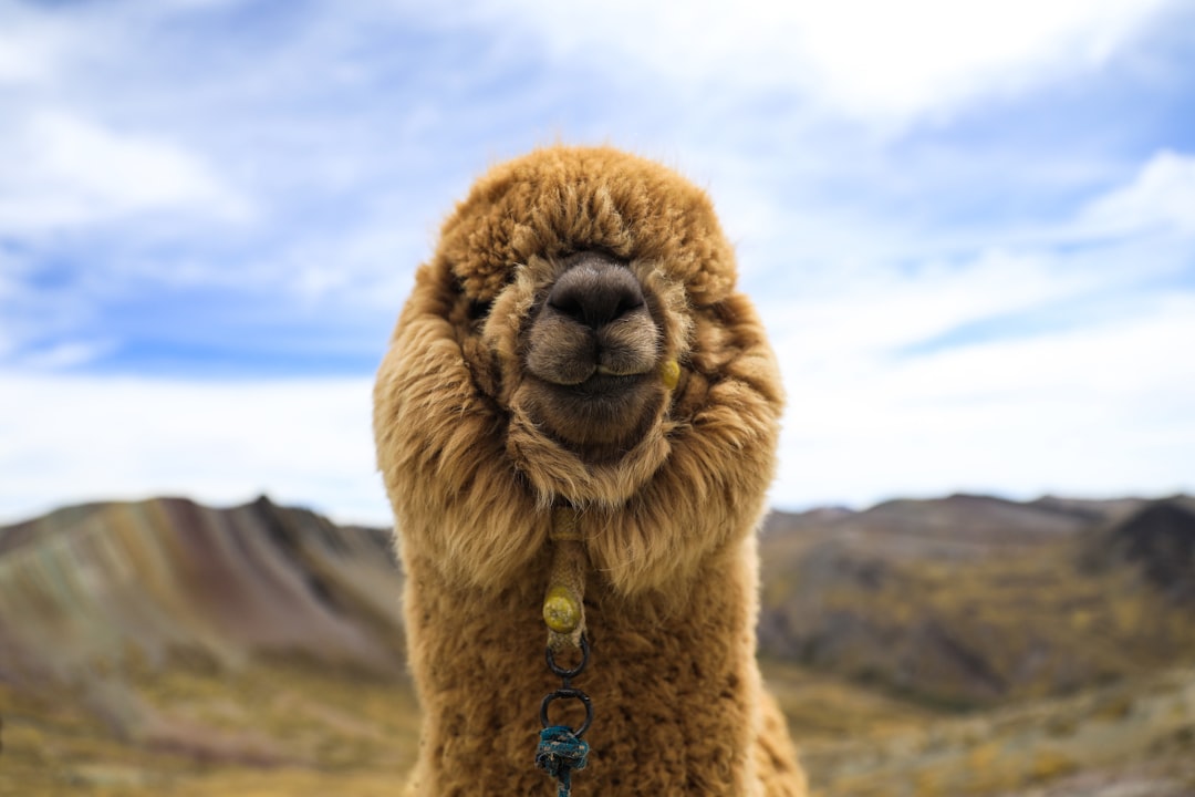 peru